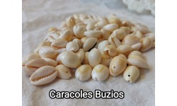 Caracoles Buzios