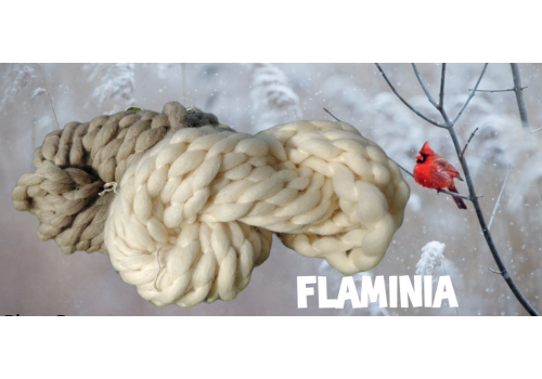 Flaminia